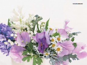  花卉插花艺术壁纸 Flower Art Desktop Wallpaper 花卉艺术-插花艺术欣赏(三) 花卉壁纸