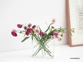  花卉插花艺术图片 Flower Art Desktop Wallpaper 花卉艺术-插花艺术欣赏(四) 花卉壁纸