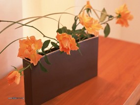  花卉插花艺术图片 Flower Art Desktop Wallpaper 花卉艺术-插花艺术欣赏(五) 花卉壁纸