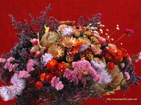  162张 插花艺术图片壁纸 Desktop Wallpaper of Flower Art 花之特写-插花艺术壁纸 花卉壁纸