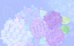  淡雅系 花卉背景图案设计 美丽碎花布 之 简洁淡雅系 花卉壁纸