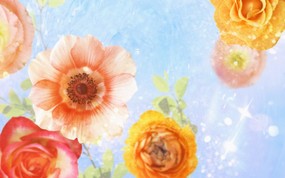 梦幻CG背景花卉 壁纸1 梦幻CG背景花卉 花卉壁纸