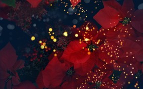  86张 7 种尺寸 Digital CG Flowers 梦幻花卉CG <br>Flowers Art desktop 梦幻CG背景花卉 花卉壁纸