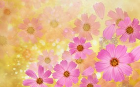  86张 7 种尺寸 Digital CG Flowers 梦幻花卉CG Flowers Art desktop 梦幻CG背景花卉 花卉壁纸