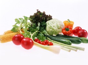 蔬菜写真 2 14 蔬菜写真 花卉壁纸
