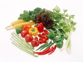 蔬菜写真 1 9 水果蔬菜 蔬菜写真 第一辑 花卉壁纸