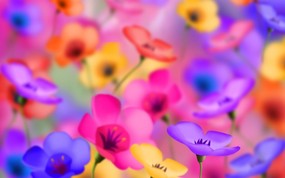 彩色花卉CG插画壁纸 数码合成花卉插画 花卉壁纸