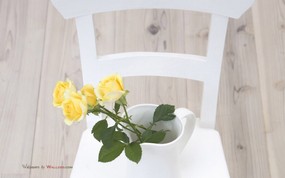 摄影 温馨室内花卉摆设 温馨家居插花艺术 花卉壁纸