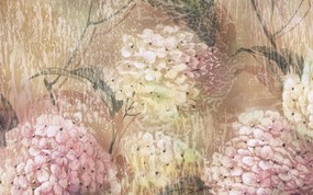  艺术花卉壁纸 抽象花卉插画壁纸 艺术与抽象花卉壁纸 花卉壁纸