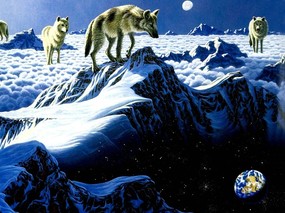 动物星球 1 17 动植风光 动物星球 第一辑 绘画壁纸