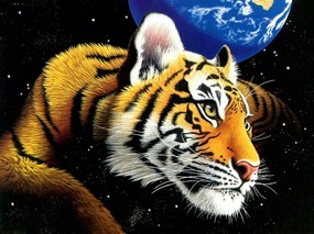 动物星球 1 10 动植风光 动物星球 第一辑 绘画壁纸