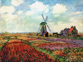 印象派画家 壁纸 莫奈风景油画 Field of Tulips in Holland 1600 1200 莫奈 Claude Monet 绘画作品 绘画壁纸