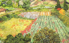 世界名画壁纸欣赏 Fine Art Painting Van Gogh Vincent Field of poppies 1889 Bremen Kunsthalle 世界名画壁纸(三) 绘画壁纸