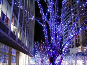 城市夜景 1 11 城市夜景 城市夜景 第一辑 建筑壁纸