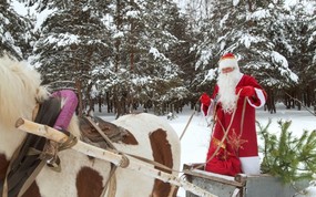  圣诞老人的马车 圣诞节人物图片 快乐圣诞节-圣诞人物主题摄影(二) 节日壁纸