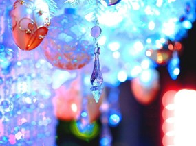  圣诞树迷人夜景 Christmas Trees Decorations at Night 浪漫圣诞夜壁纸-圣诞节夜景街道(第一辑) 节日壁纸