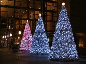  华丽的圣诞树灯饰壁纸 Christmas Night Light Decorations 浪漫圣诞夜壁纸-圣诞节夜景街道(二) 节日壁纸