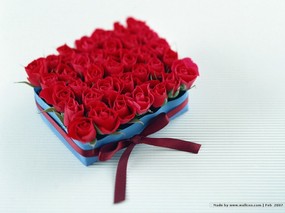  情人节玫瑰花礼物 Valentine s Day Red Rosses Flowers 情人节壁纸-爱意浓浓 节日壁纸