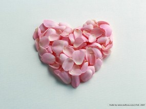  情人节心形玫瑰花礼物 Valentine s Day Heart Shaped Gifts 情人节壁纸-爱意浓浓 节日壁纸