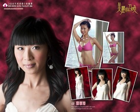 2006香港小姐竞选 壁纸5 2006香港小姐竞选 明星壁纸
