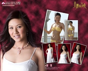2006香港小姐竞选 壁纸8 2006香港小姐竞选 明星壁纸