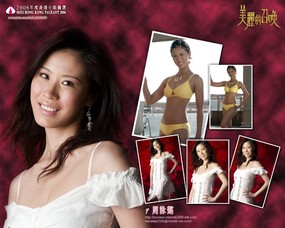 2006香港小姐竞选 壁纸10 2006香港小姐竞选 明星壁纸