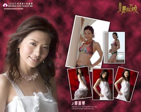 2006香港小姐竞选 壁纸15 2006香港小姐竞选 明星壁纸