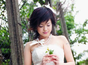 美丽的茉莉花-新娘写 明星壁纸