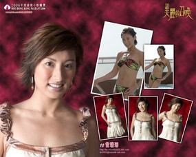 香港小姐 1 14 世界小姐 香港小姐 第一辑 女性壁纸