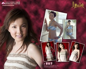 香港小姐 1 10 世界小姐 香港小姐 第一辑 女性壁纸