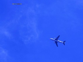  蓝天下的飞机图片 Airplane Sky Airplane Wallpaper 翱翔蓝天-飞机壁纸 汽车壁纸