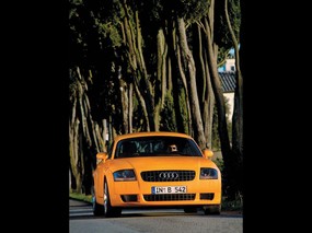 Audi TT Coupe专辑 Audi-TT-Coupe壁纸 汽车壁纸