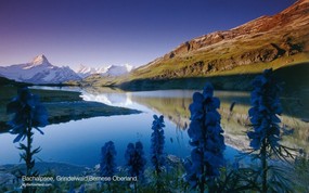 世界公园 瑞士夏季旅游名胜 Grindelwald Central Switzerland 格林德瓦尔德 巴赫湖图片壁纸 世界公园瑞士夏季旅游名胜 人文壁纸