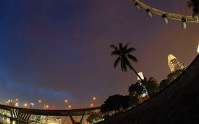 世界最大的摩天轮 新加坡摩天观景轮壁纸 新加坡摩天轮夜景桌面壁纸 世界最大的摩天轮新加坡摩天观景轮壁纸 人文壁纸