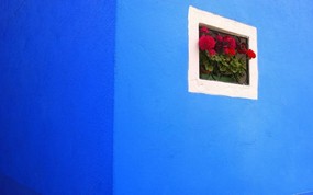 文化之旅 地理人文景观壁纸精选 第二辑 Flower Box Burano Italy 最鲜亮的美丽小镇 意大利布拉诺图片壁纸 文化之旅地理人文景观壁纸精选 第二辑 人文壁纸