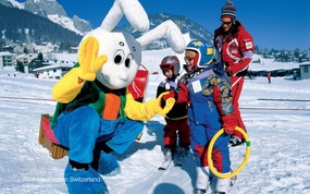 温泉与滑雪 瑞士冬季旅游景点壁纸 Wildhaus 威德赫斯城图片壁纸 温泉与滑雪瑞士冬季旅游景点壁纸 人文壁纸