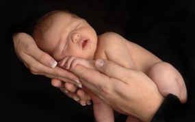  婴儿摄影 在手中熟睡的小婴儿图片壁纸 爱与纯真-可爱婴儿儿童摄影壁纸 摄影壁纸