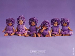  可爱婴儿图片 Desktop Wallpaper of Anne Baby Photography Anne Geddes 婴儿摄影作品(二)花仙子 摄影壁纸