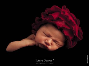  花仙子婴儿艺术摄影 Desktop Wallpaper of Anne Baby Photography Anne Geddes 婴儿摄影作品(二)花仙子 摄影壁纸