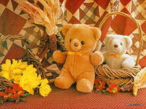 一百岁的小熊 泰迪熊 Teddy bears 一 一百岁的泰迪熊图片壁纸 Teddy bears Desktop Wallpaper 百岁小熊泰迪熊 Teddy bears(一) 摄影壁纸