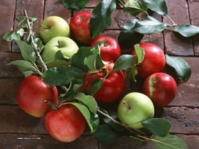  丰收水果图片壁纸 Stock Photographs of Fruit Photography 丰收季节(一)水果特写 摄影壁纸