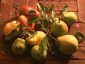  丰收水果图片壁纸 Stock Photographs of Fruit Photography 丰收季节(一)水果特写 摄影壁纸