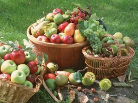  丰收水果篮子图片 Stock Photographs of Fruit Photography 丰收季节(一)水果特写 摄影壁纸