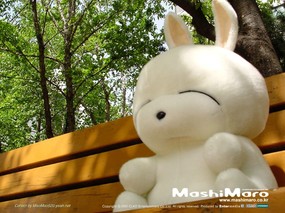  流氓兔毛绒娃娃 mashimaro stuffed toy Desktop Wallpaper 韩国mashimaro流氓兔公仔壁纸 摄影壁纸