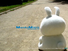  流氓兔毛绒娃娃 mashimaro stuffed toy Desktop Wallpaper 韩国mashimaro流氓兔公仔壁纸 摄影壁纸