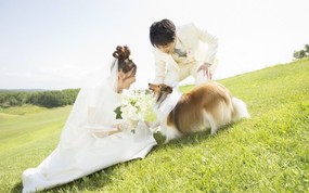  新娘新郎与狗狗 花园里的婚礼图片 花园里的白色婚礼-婚纱摄影壁纸 摄影壁纸
