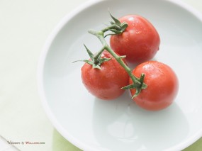  番茄图片 番茄壁纸Tomatos Photo Tomatos Wallpaper 健康早餐-美食摄影壁纸 摄影壁纸