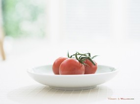  番茄图片 番茄壁纸 Tomatos Photo Tomatos Wallpaper 健康早餐-美食摄影壁纸 摄影壁纸