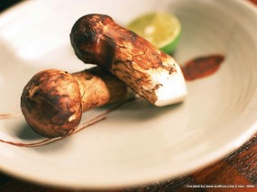 日本美食摄影 秋季主题 秋天意境的食物摄影 Stock Photographs of Foods 日本美食摄影秋季主题 摄影壁纸