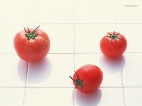 摄影主题壁纸 东瀛美食 美食大餐 食物料理主题Food Stock Photographs 摄影主题壁纸东瀛美食 摄影壁纸